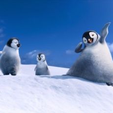 Foto Happy Feet 2 - O Pinguim