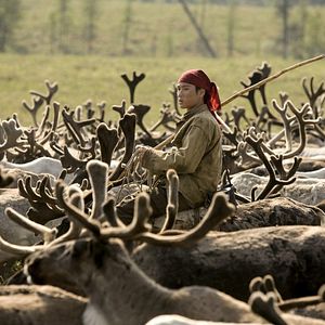 Foto Loup - Uma Amizade para Sempre