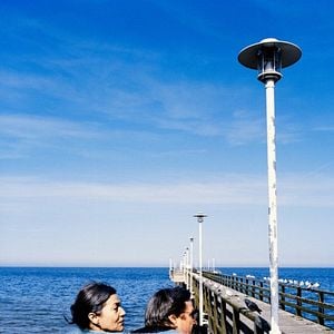 Foto Hanami - Cerejeiras em Flor
