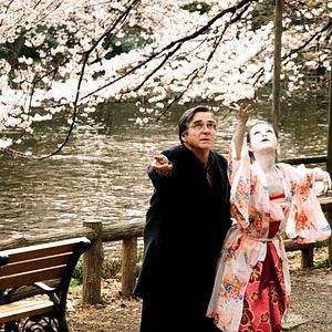 Foto Hanami - Cerejeiras em Flor