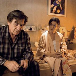 Foto Hanami - Cerejeiras em Flor