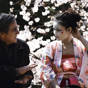 Foto Hanami - Cerejeiras em Flor