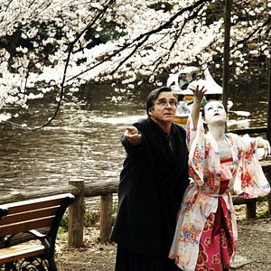 Foto Hanami - Cerejeiras em Flor
