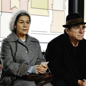 Foto Hanami - Cerejeiras em Flor