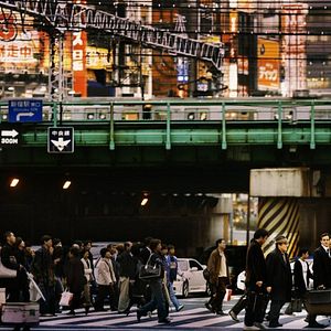 Foto Hanami - Cerejeiras em Flor