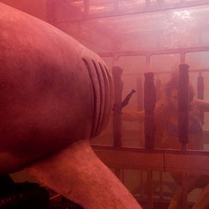 Foto Terror na Água 3D