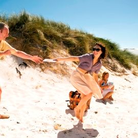 Foto Borboletas Negras