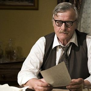 Foto Borboletas Negras