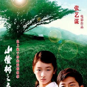 Foto A Árvore do Amor