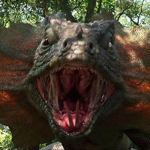 Foto Viagem 2 - A Ilha Misteriosa