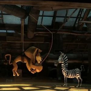 Foto Madagascar 3 - Os Procurados