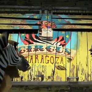 Foto Madagascar 3 - Os Procurados