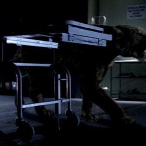 Foto O Ataque do Dente de Sabre