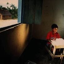 Foto Lutzenberger: For Ever Gaia