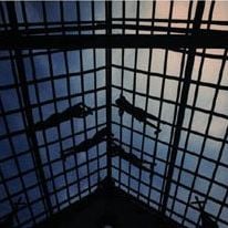 Foto Lutzenberger: For Ever Gaia