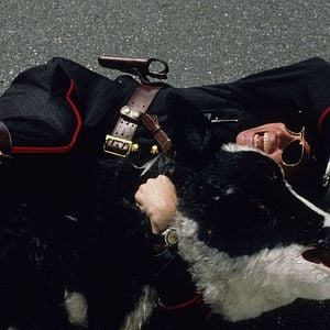 Foto Eu, Eu Mesmo & Irene