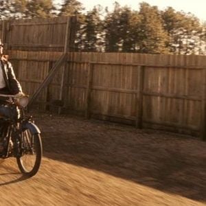 Foto O Amor Não Tem Regras