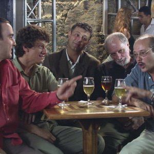 Foto Gatão de Meia Idade