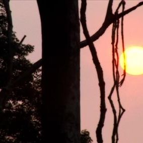 Foto Nas Terras do Bem-Virá