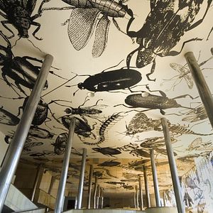 Foto A Margem da Linha