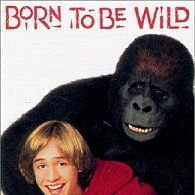 Foto Katie - Uma Garota da Pesada