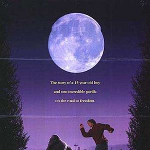 Foto Katie - Uma Garota da Pesada