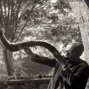 Foto Raízes do Brasil