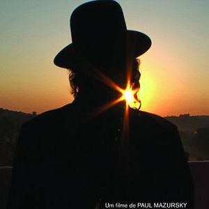 Foto Yippee - Alegria de Viver