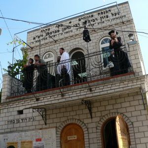 Foto Yippee - Alegria de Viver