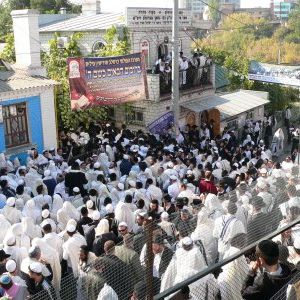 Foto Yippee - Alegria de Viver