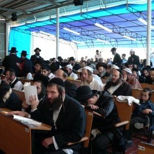 Foto Yippee - Alegria de Viver