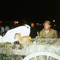 Foto Um Anjo Trapalhão