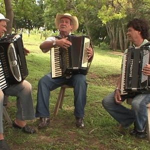 Foto O Milagre de Santa Luzia