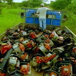 Foto Tamboro - Para Todos Sem Exceção