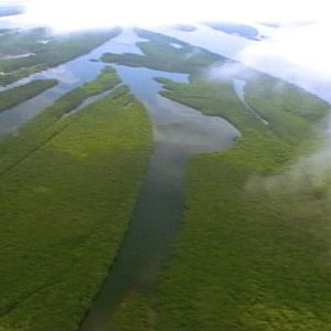 Foto Tamboro - Para Todos Sem Exceção
