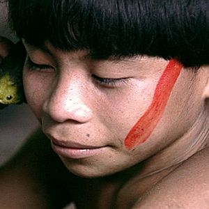 Foto Tamboro - Para Todos Sem Exceção