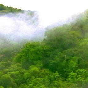 Foto Tamboro - Para Todos Sem Exceção