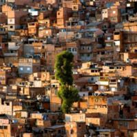 Foto Os Inquilinos (Os Incomodados que se Mudem)