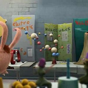 Foto A Tartaruga e a Lebre - A Revanche do Século