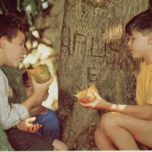 Foto Menino Maluquinho - O Filme