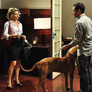 Foto Qualquer Gato Vira-Lata