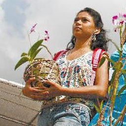 Foto Ribeirinhos do Asfalto