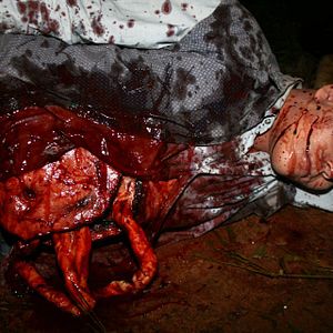 Foto A Noite do Chupacabras