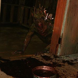 Foto A Noite do Chupacabras