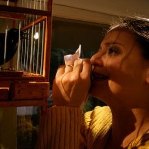 Foto Simples Mortais