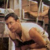 Foto Os Pássaros Feridos