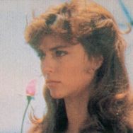 Foto Os Pássaros Feridos