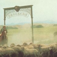 Foto Os Pássaros Feridos