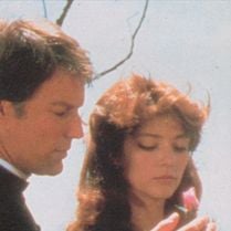 Foto Os Pássaros Feridos