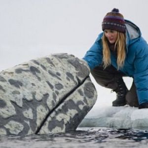 Foto O Grande Milagre